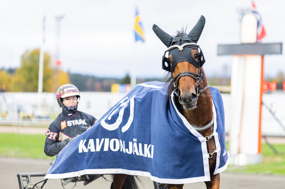 ravihevosen päällä Kavionjälki-loimi