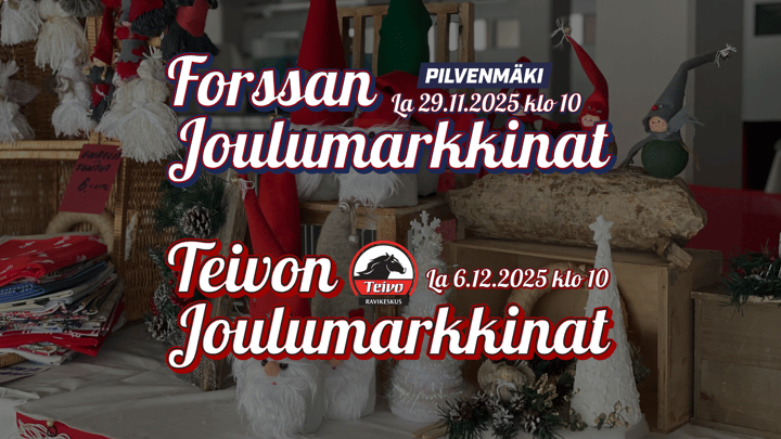Joulumarkkinoiden tunnelmaa Forssassa ja Teivossa