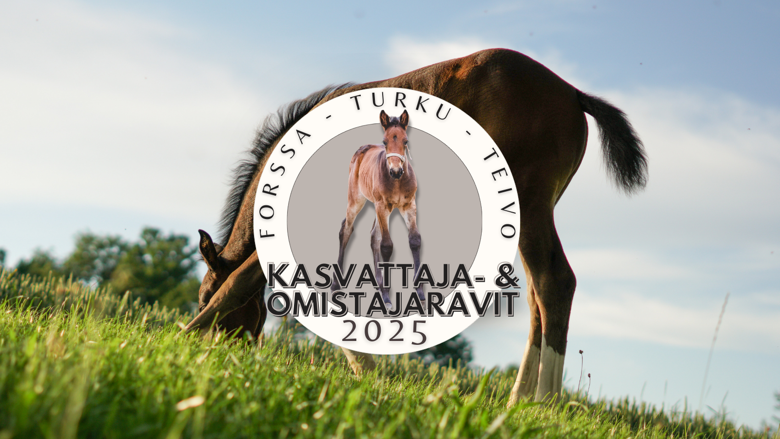 Kasvattaja- ja omistajaraveissa 132 ennakkoon ilmoittautunutta ilmoittautunutta!